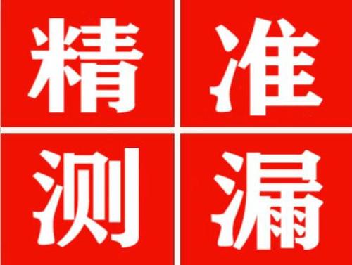 禄丰尚嘉漏水精准查找