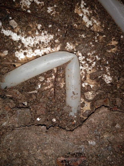 禄丰堵点精准查找